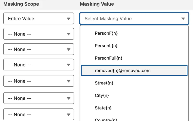 Point-Click Field Masking via Security Layer Setup Interface